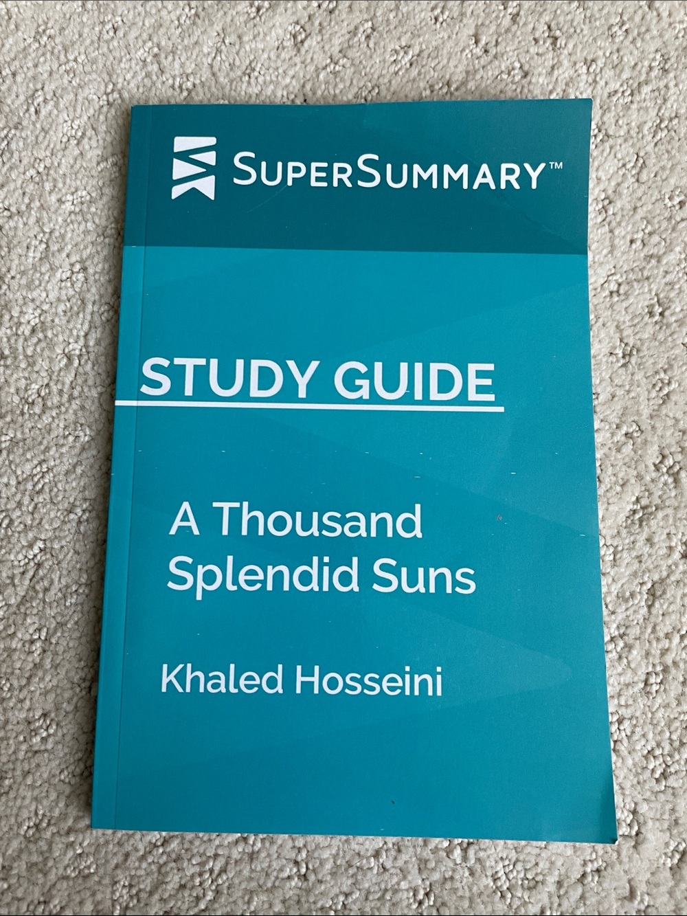 Study Guide for A Thousand Splendid Suns - Teal
